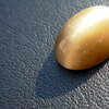 続いてみた