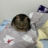 おててないないしてるのいいよね(ｽﾞﾎﾞｯ)