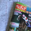 予想してるだけでも楽しいものなのですね。（競馬初心者の感想）