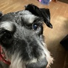 歳末　ふくすけマラソン開催だよ