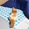 監視中