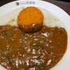 【辛さ10倍】CoCo壱でカレーランチしてきました