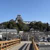 唐津城に登ってきました
