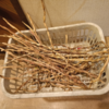ささげの種取り