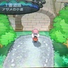 ラブレターほすぃ(切実)〈ポケットモンスターY〉