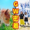 5月10日の動画