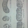 向井豊昭アーカイブ更新