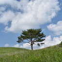 自然と共に生きる♪毎日が宝物☆