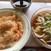 今日は？