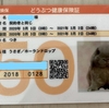 うさぎのつきの新しい動物保険証がきました。毎年腸内フローラ検査も出来るアニコムがおすすめ！