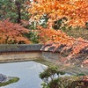 龍安寺の紅葉2025：見頃や色づき状況、混雑回避の裏ワザ！