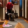 2021.5.8 【お洒落は嫌い】両親の会話をそのまま入れてます。甘やかし過ぎ？　Uno１ワンチャンネル宇野樹より