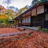 京都・杉阪 - 地蔵院の散り紅葉