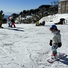 スノーボード35日目  2024年初滑りは娘と川場でTop to bottom