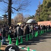 上野動物園のパンダ【シャンシャン】がやっぱり大人気すぎた！