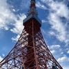 介護保険料と東京タワー