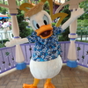 【2019.6/21～23HKDL旅行記】6/22⑧HKDLマジックアクセス  サマーパーティー  グリーティング（ドナルド）