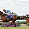 競馬初心者必見☆馬券予想🔥〜桜花賞〜購入馬券大公開㊙︎