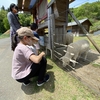 目田森林公園.5 ～吉栗の郷、須佐神社、出雲須佐温泉ゆかり館