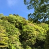 tochikoな日常　立夏の風