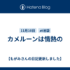 カメルーンは情熱の