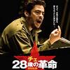 チェ（2008）