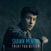 Shawn Mendes - Treat You Better 歌詞和訳で覚える英語