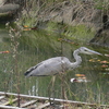 水月公園