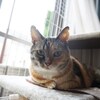 とってもかわいい。すごく好き。