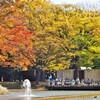 今週の一枚・紅葉代々木公園