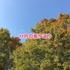 11月のまとめと12月の予定