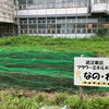 2024年9月　ひわまり発育状況