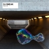  DJ Sneak / Fabric 62