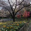 ６．２４（月・晴れ）岸田下ろしの夏の陣。