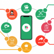 保険市場times 保険市場times