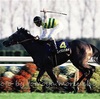 2021年　第24回（82回）菊花賞（GⅠ）阪神競馬場　芝3000m   消去法データ