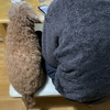 実は、出来るんだな