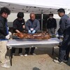 第６回三河トコトン豚祭り　開催！
