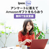 効率的に稼ぐ！信頼できるアンケートサイトのポイント活用術