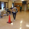 リレー　メタセコイアの紅葉とハランとツワブキ