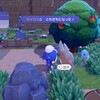 【ぽこあポケモン】まさかのポケモンが…！？