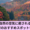 大自然の空気に癒される！鏡野町のおすすめスポットを紹介