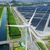 イーゲートの評判・口コミ！日本の再生可能エネルギー拡大を支える太陽光発電事業