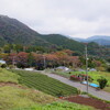 神奈川県足柄上郡山北町　　大野山