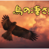 【鳥が飛ぶ凄さ！】その驚きのスピード、習性、秘密とは⁉