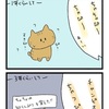 猫の愛称について