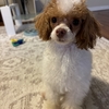 ホテル練習🐶