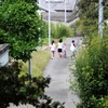 夏が終わり、秋が来る