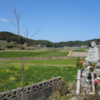 新城古戦場　長崎県壱岐市勝本町新城東触