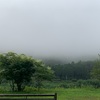 季節の移り変わり🍃